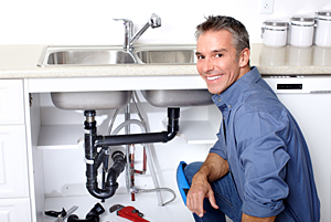 Vista plumber installs Kohler kitchen sink